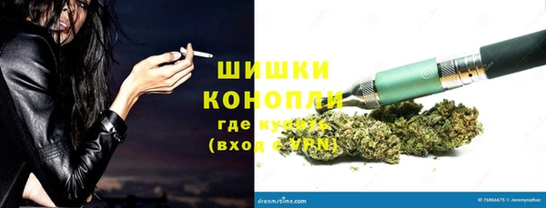 ешки Алзамай