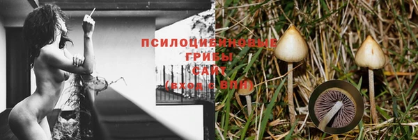 кокс Алексин