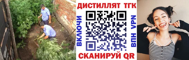 ТГК концентрат  omg как зайти  Грозный 