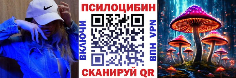 Псилоцибиновые грибы MAGIC MUSHROOMS  наркотики  Грозный 