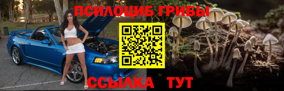 Галлюциногенные грибы мухоморы Грозный