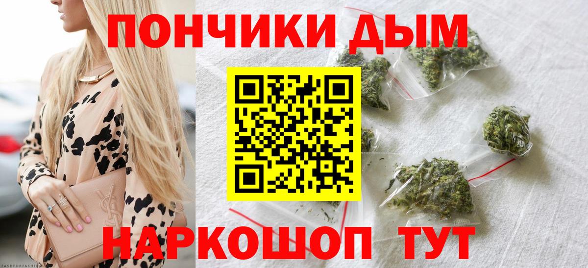 Бошки Шишки MAZAR Грозный